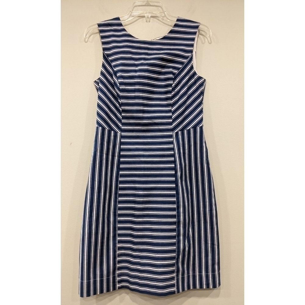 Birds of North America Whydah Blue Stripe Dress Size 6